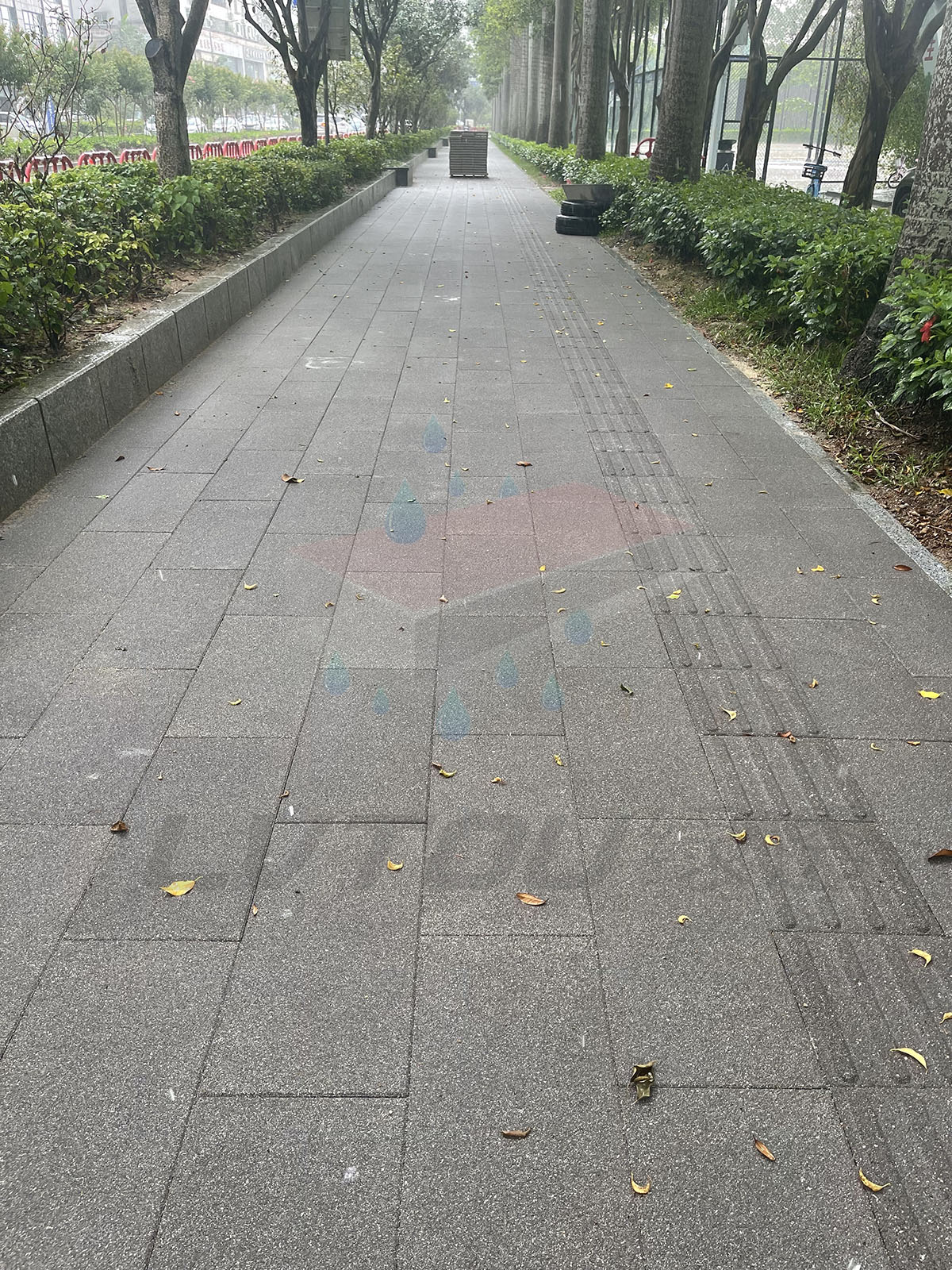 深圳福田皇岗路